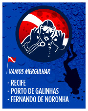 Empresa de Mergulho especializada em Recife, Porto de Galinhas e Fernando de Noronha