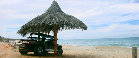 Informa��es �teis de Porto de Galinhas