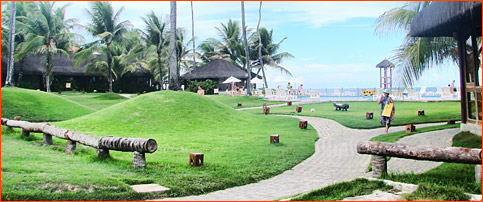 Confira todas as dicas sobre Porto de Galinhas